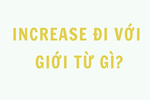 Increase đi với giới từ gì? 3 giới từ mà bạn nên biết