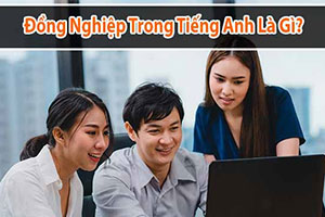 Đồng nghiệp tiếng Anh là gì? 3 lưu ý khi lựa chọn từ