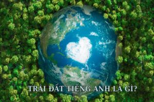 Trái đất tiếng Anh là gì? Cách phát âm từ Earth theo chuẩn IPA