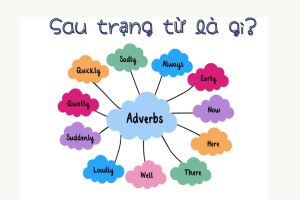 Sau trạng từ là gì? Tính từ, động từ, trạng từ khác hay cả câu?