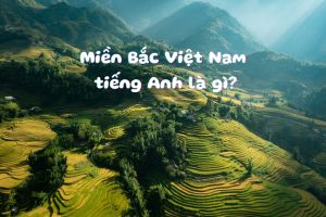 Miền Bắc Việt Nam tiếng Anh là gì? Cách gọi, phát âm chuẩn và ví dụ