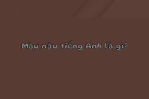 Màu nâu tiếng Anh là gì? Hướng dẫn phát âm từ brown theo 2 giọng