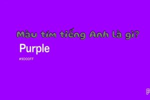 Màu tím tiếng Anh là gì? Cách phát âm và cách dùng từ purple chuẩn