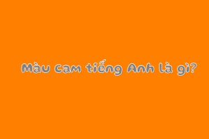 Màu cam tiếng Anh là gì? Cách đọc đúng từ orange trong tiếng Anh