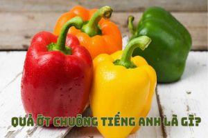 Quả ớt chuông tiếng Anh là gì? Cách đọc từ bell pepper chuẩn phiên âm