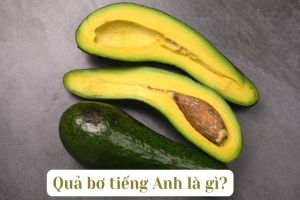 Quả bơ tiếng Anh là gì? Hướng dẫn cách phát âm chuẩn từ avocado
