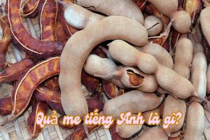 Quả me tiếng Anh là gì? Cách phát âm từ tamarind theo 2 giọng