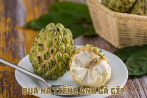 Quả na tiếng Anh là gì? Cách đọc từ quả na custard apple chuẩn