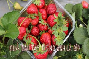 Quả dâu tây tiếng Anh là gì? Strawberry đọc tiếng Anh là gì?