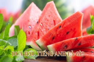 Dưa hấu tiếng Anh là gì? Cách phát âm water melon theo giọng Anh và Mỹ