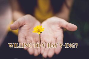 Sau cấu trúc be willing to V hay Ving? Phân biệt willing to và want to