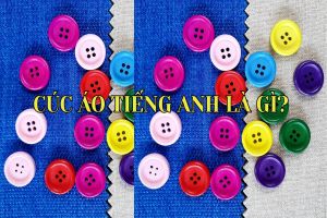 Cúc áo tiếng Anh là gì? Học phát âm từ button theo phiên âm IPA
