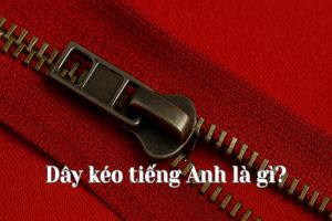 Dây kéo tiếng Anh là gì? Cách đọc từ dây kéo zipper chuẩn phiên âm