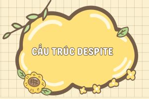 Cấu trúc despite, cách dùng despite + danh từ/ cụm danh từ/ V-ing/ clause