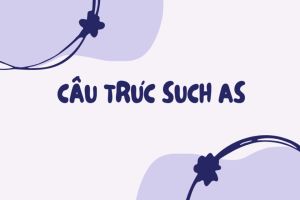 Cách dùng cấu trúc Such as + Noun/Noun-phrase và Such as + V-ing