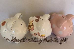 Heo đất tiếng Anh là gì? Cách phát âm piggy bank và bản dịch tương tự