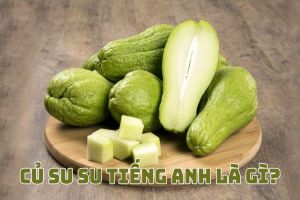 Củ su su tiếng Anh là gì? Hướng dẫn phát âm từ chayote theo 2 giọng