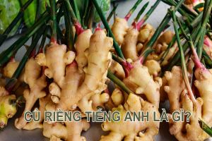 Củ riềng tiếng Anh là gì? Hướng dẫn phát âm từ galangal theo IPA