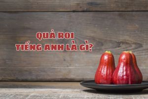 Quả roi tiếng Anh là gì? Bản dịch hàng đầu và cách phát âm từ wax apple
