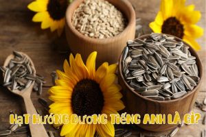 Hạt hướng dương tiếng Anh là gì? Cách phát âm và dùng từ sunflower seeds