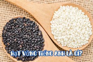 Hạt vừng tiếng Anh là gì? Cách phát âm và cách dùng từ sesame seeds