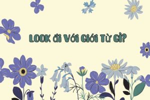 Look đi với giới từ gì? Cách dùng cấu trúc look + giới từ thông dụng