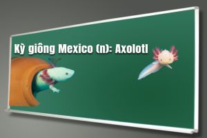 Kỳ giông Mexico tiếng Anh là gì? Hướng dẫn cách đọc và ví dụ