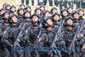 Quân đội tiếng Anh là gì? Bản dịch hàng đầu và từ vựng về quân đội