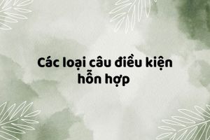 Câu điều kiện hỗn hợp là gì? Các loại câu điều kiện hỗn hợp và cách sử dụng
