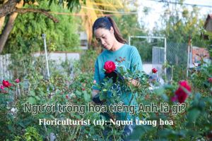 Người trồng hoa tiếng Anh là gì? Phát âm, phân biệt floriculturist và florist