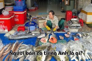 Người bán cá tiếng Anh là gì? Học phát âm từ fishmonger theo IPA
