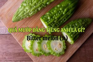 Quả mướp đắng tiếng Anh là gì? Phát âm bitter melon theo 2 giọng và lưu ý