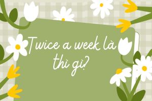 Dùng twice a week là thì gì? Twice a week là dấu hiệu nhận biết thì gì?