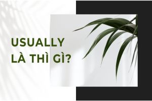 Usually là thì gì? Cấu trúc usually và cách dùng trong thì tiếng Anh