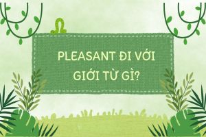 Pleasant đi với giới từ gì? Cấu trúc pleasant + giới từ to, for, with, about