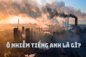 Ô nhiễm tiếng Anh là gì? Cách sử dụng và từ vựng về các loại ô nhiễm