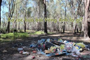 Xả rác bừa bãi tiếng Anh là gì? Học phát âm từ litter illegally theo 2 giọng