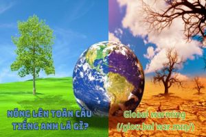 Nóng lên toàn cầu tiếng Anh là gì? Phát âm global warming và mẫu câu liên quan