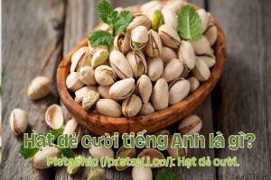 Hạt dẻ cười tiếng Anh là gì? Phát âm và ví dụ về cách dùng từ pistachio