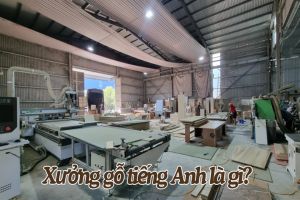 Xưởng gỗ tiếng Anh là gì? Các bản dịch hàng đầu và cách phân biệt