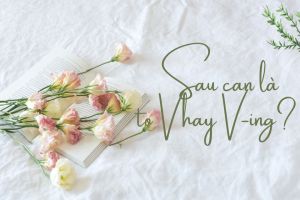 Sau can là to V hay V-ing? Phân biệt can, could và be able to