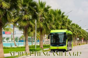 Xe buýt tiếng Anh là gì? Cách phát âm bus, phân biệt bus, coach và transit