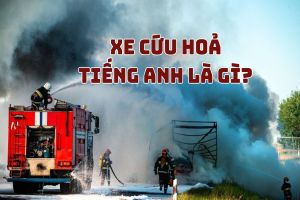 Xe cứu hoả tiếng Anh là gì? Học phát âm fire truck, thuật ngữ phòng cháy chữa cháy